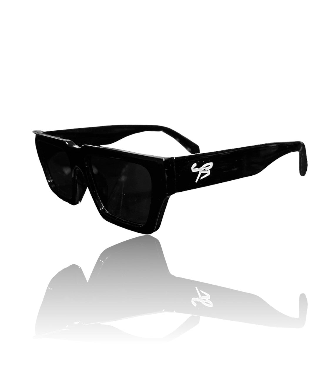 Platinum Frames Sunglasses 